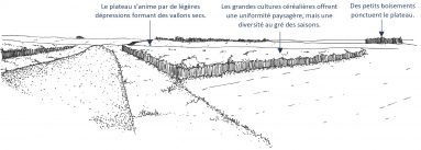 BVL-DIAG VO-v0 AR-12