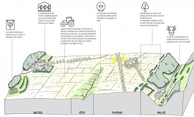 REDÉCOUVRIR LES PAYSAGES DU VEXIN FRANÇAIS (95) urbanisme