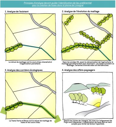 VOLET PAYSAGE - PLUI DE LA CA RIOM, LIMAGNE ET VOLCANS